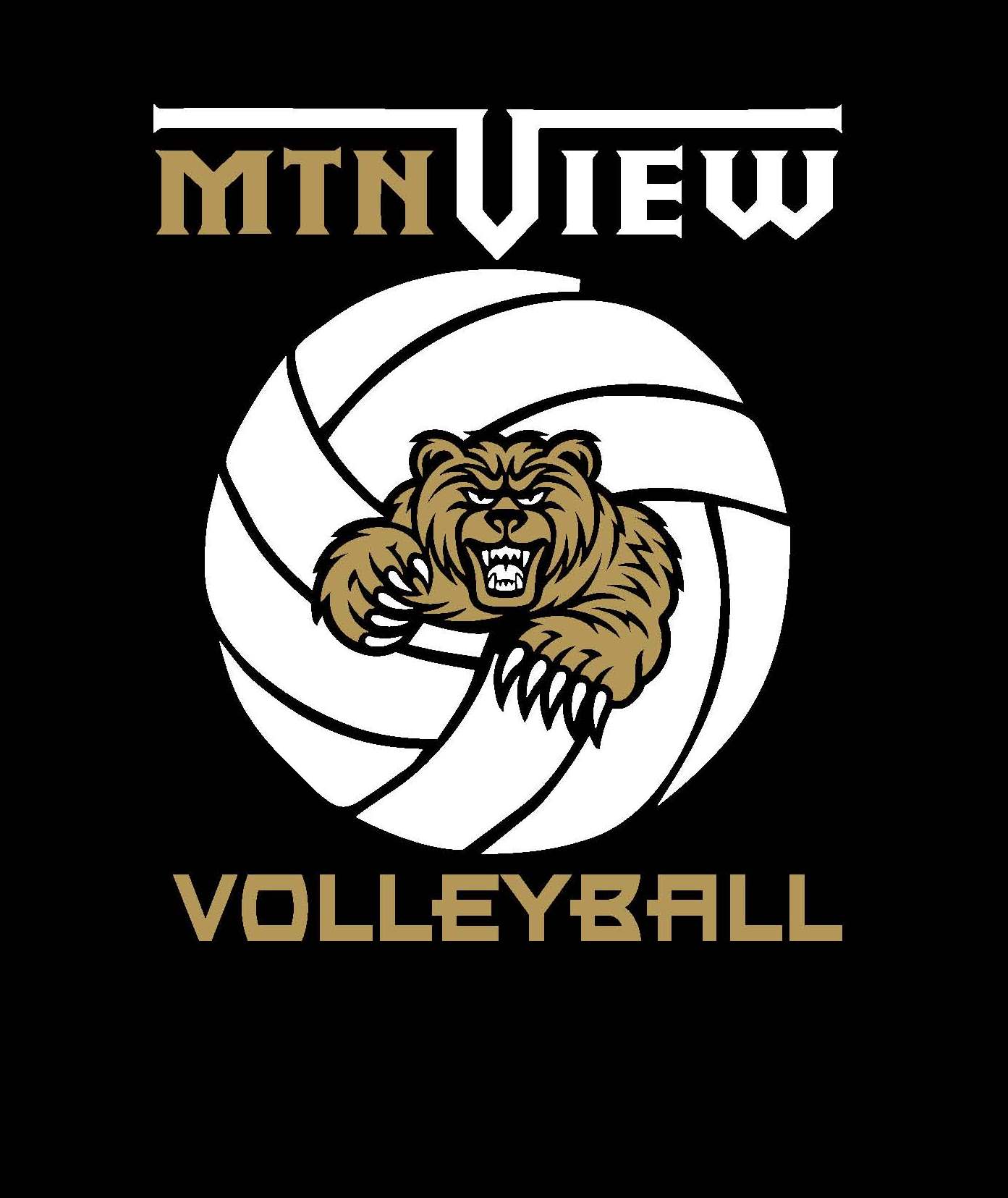 Mountain View Volleyball